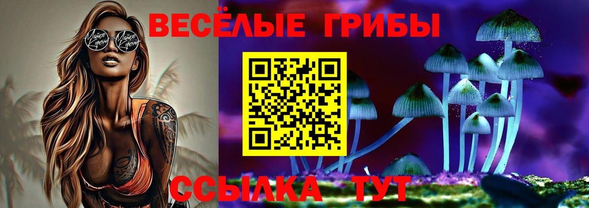 Галлюциногенные грибы прущие грибы Гусиноозёрск